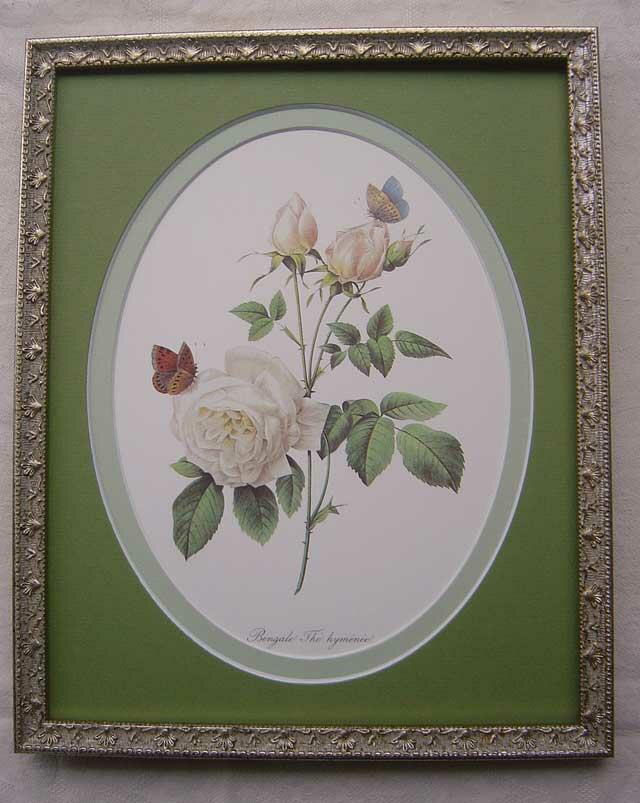 ルドゥーテの薔薇（ルドゥーテローズ）のボタニカルアート＆薔薇の額絵